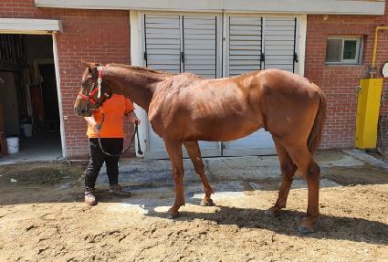 è���� ����