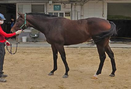 ������ ����