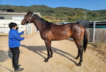 ����� ����