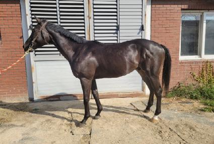 �˵帯 ����