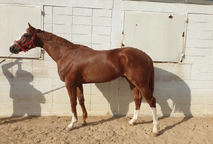 �ݾƿ�� ����