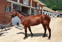 ������������ (I WILL BE FREE) ����