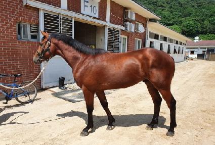 ������������ ����