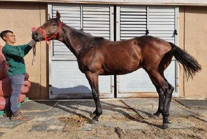 �����̽����� ����