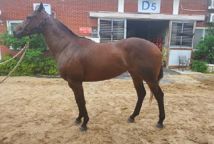 �Ƹ��ٿ���� ����