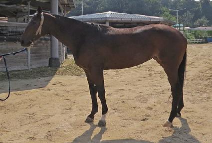 ���������� ����