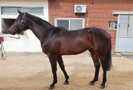 �ε���� ����