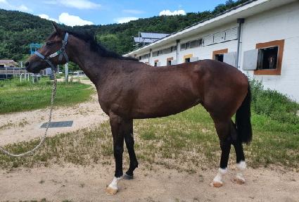 Ĺ�Ͻ� ����