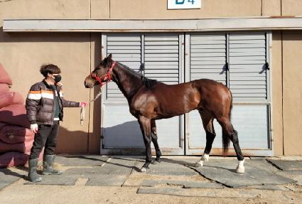 ������ ����