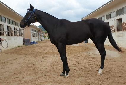 �������̽� ����