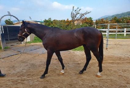 ��ũ���� ����