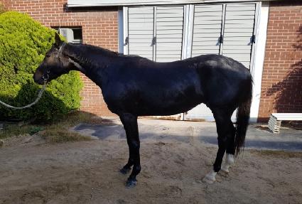 �÷�����ȭ ����