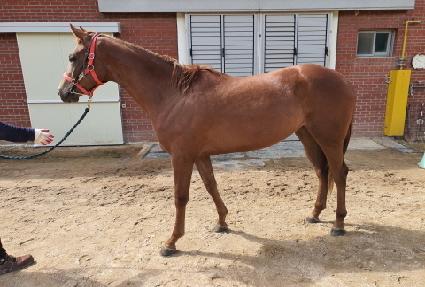 ������ ����