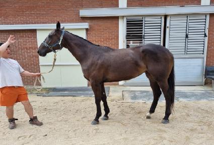 �����ö��� ����