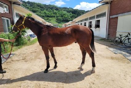 ���ö��� ����