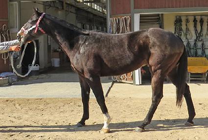 ����Լ� ����