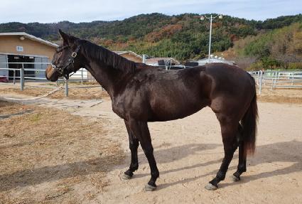 ���Ϸξ���� ����