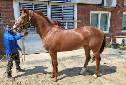 �������� ����