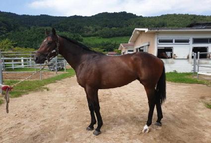 �ٺ������̵� ����