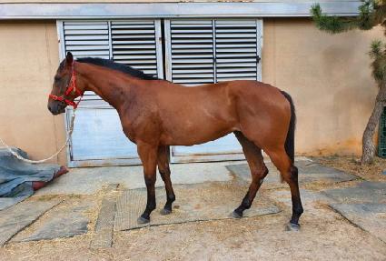 �������Ͽ�� ����