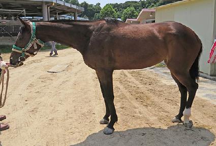 �ö��׼��� ����