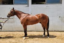 CLIFTON KING picture