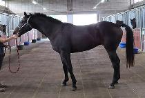 ��õ���� (YONGCHEON JISANG) ����