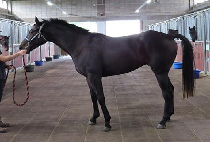 ��õ���� ����