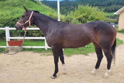 ȭ����� ����