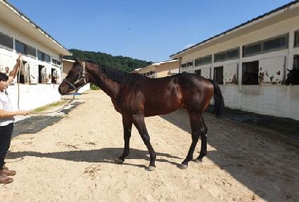 �۽�Ʈ��� ����