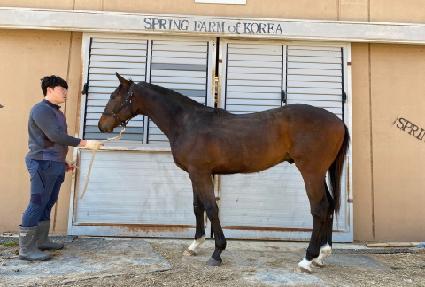 �����ǲ� ����