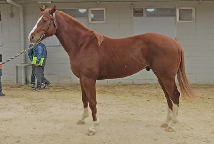 ����ƼĨ ����