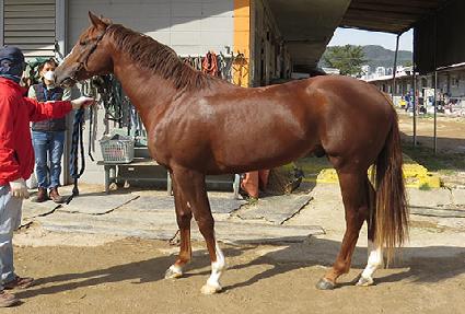 ����Ƽ�� ����