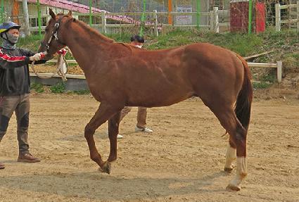 �ö����Ӹ��� ����