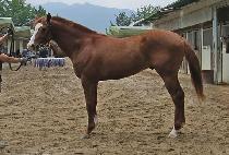 �۷ι���ȭ (GLOBAL SINHWA) ����