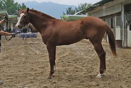 �۷ι���ȭ ����