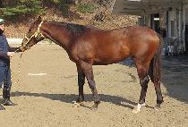 ��ܰ��� (SAMDAN GASOK) ����