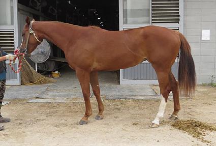 �ƽ��� ����