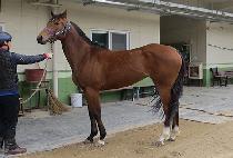 ȯ�ѹ̼� (HWANHAN MISO) ����