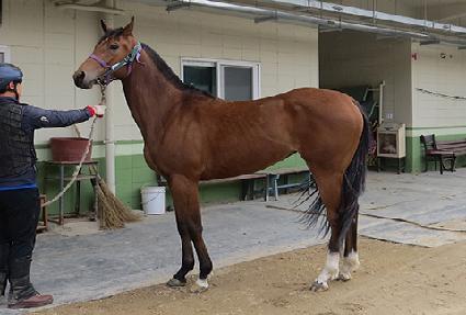 ȯ�ѹ̼� ����