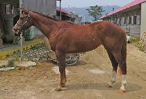 ���ο� (NINE ONE) ����