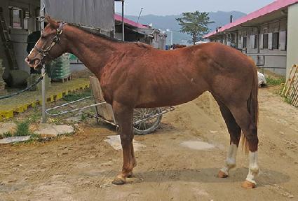 ���ο� ����