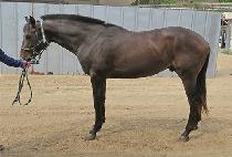 �����鸮���� (NONSTOP REWARD) ����