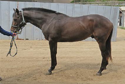 �����鸮���� ����