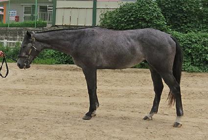 ���ũ ����