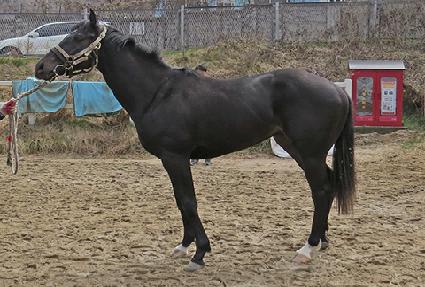 û���� ����