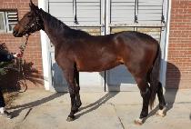 �ӴϹ�ũ (MONEY BANK) ����