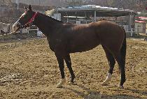 ��������õ�� (WAIHEKE CHEONSA) ����