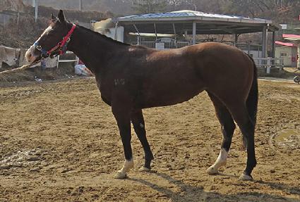 ��������õ�� ����