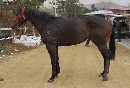 ������ ����